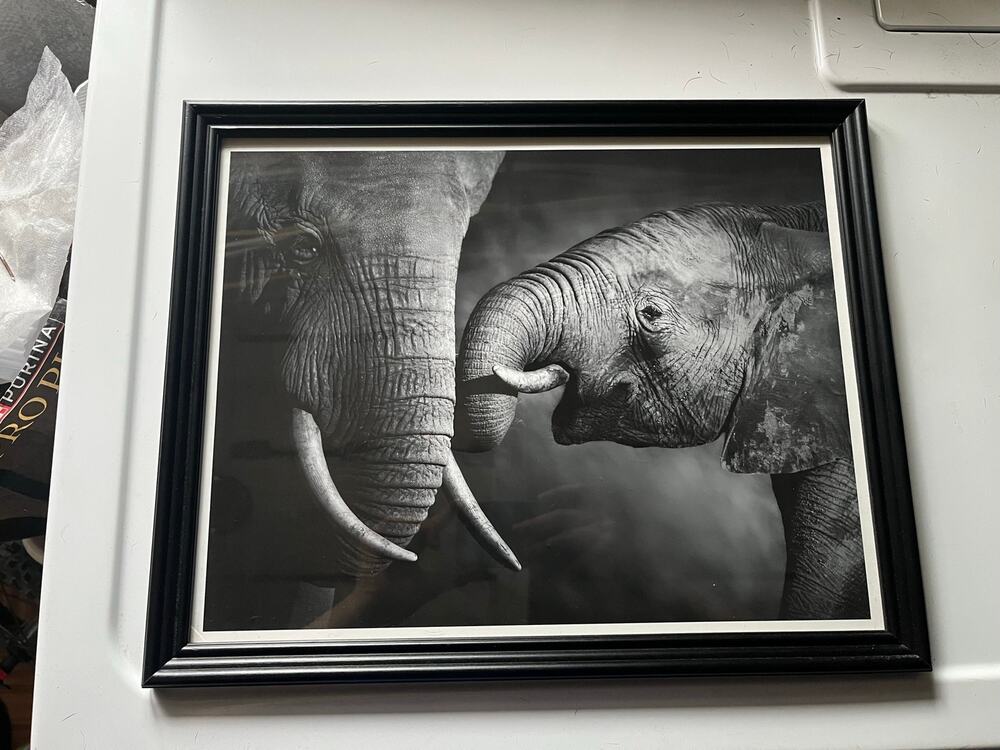 Elephant Affection Hanging Wall Art framed